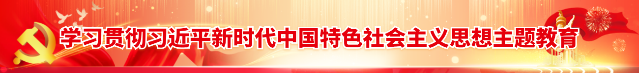 学习贯彻习近平新时代中国特色社会主义思想主题教育