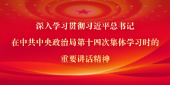 深入学习贯彻习近平总书记在中共中央政治局第十四次集体学习时的重要讲话精神