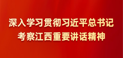 深入学习贯彻习近平总书记在江西考察时的重要讲话精神