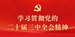 学习贯彻党的二十届三中全会精神