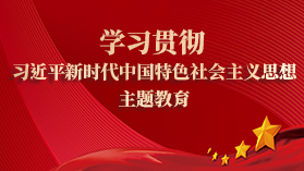 学习贯彻习近平新时代中国特色社会主义思想主题教育