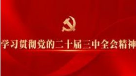 学习贯彻党的二十届三中全会精神