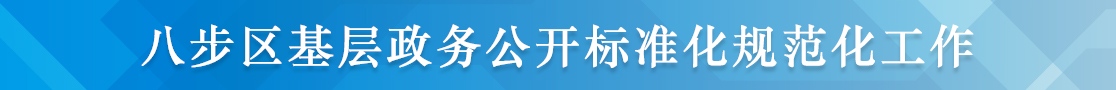 基层政务公开标准化规范化