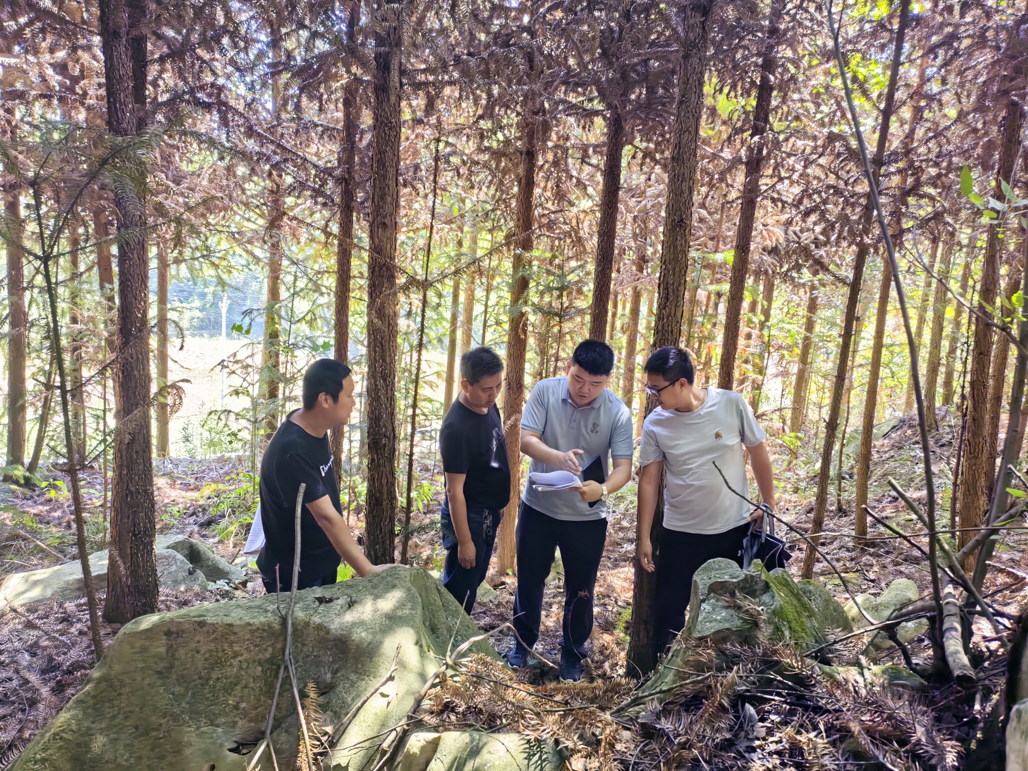 黔西南州连清样地调查培训样地选点