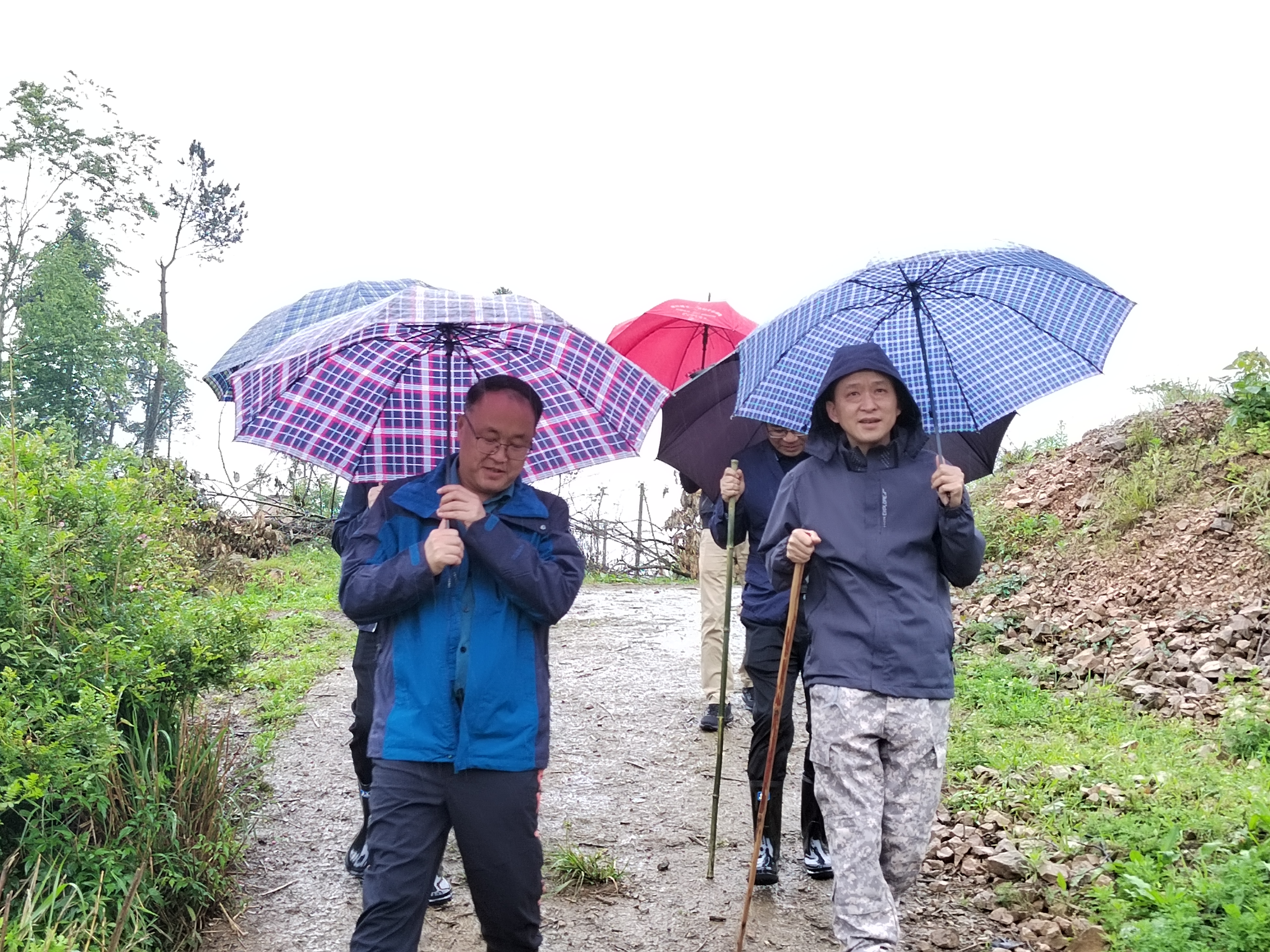 林处、温院冒雨指导乌当样地调查