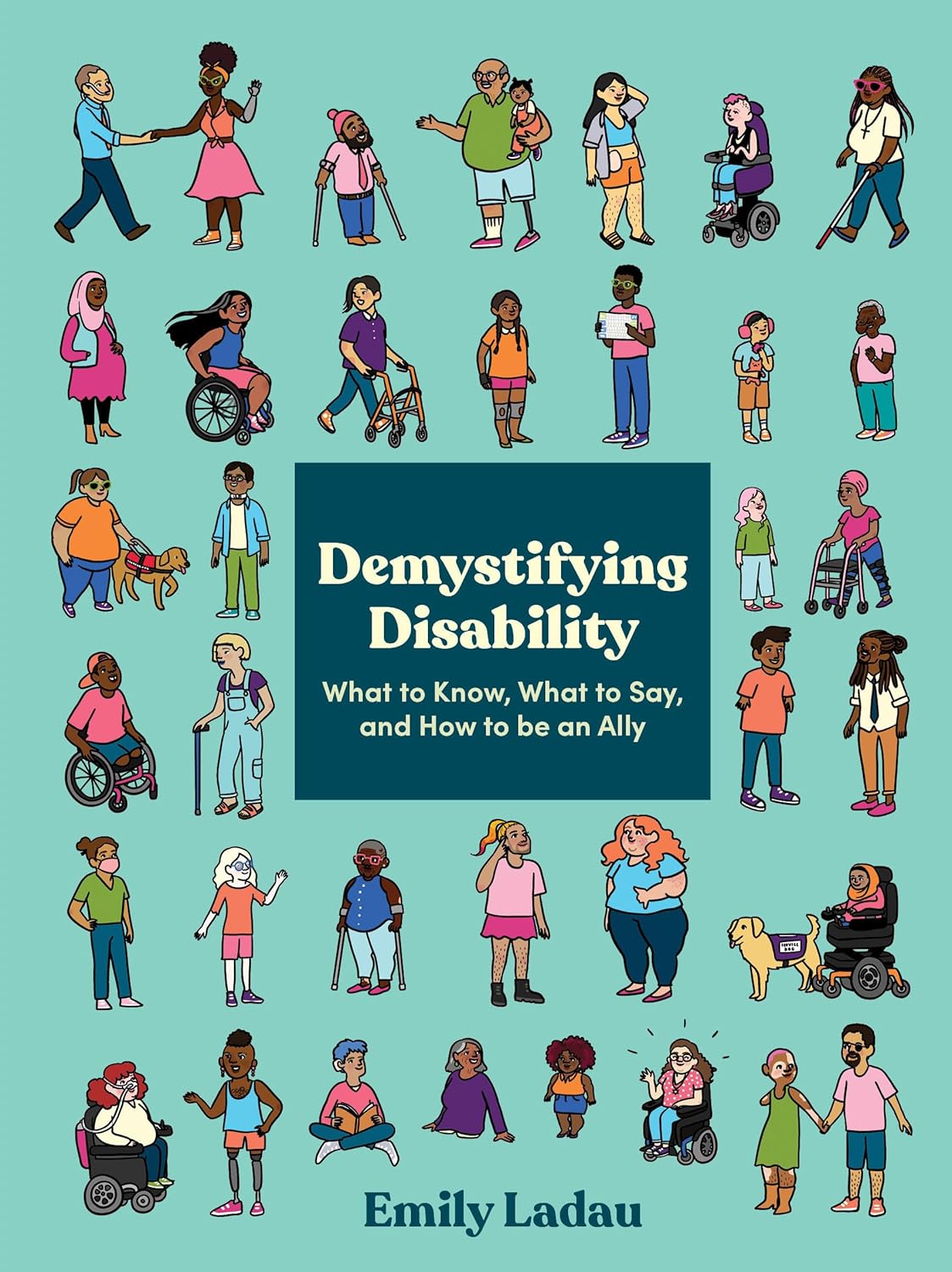 Cover photo of the book Demystifying Disability