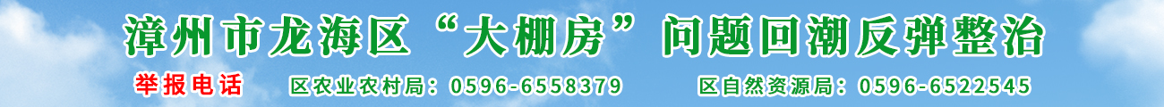 龙海区大棚房问题回潮反弹整治