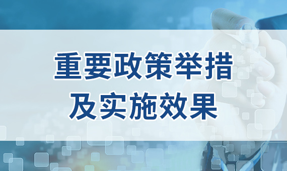 重要政策举措及实施效果