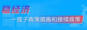 稳经济一揽子政策和接续政策措施