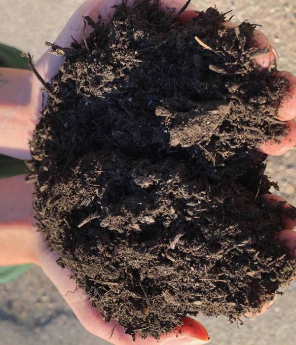 Compost bio 