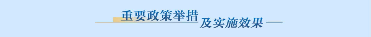 重要政策举措及实施效果