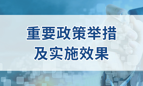 重要政策举措及实施效果