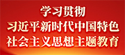 学习贯彻习近平新时代中国特色社会主义思想主题教育