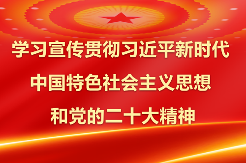 学习宣传贯彻习近平新时代中国特色社会主义思想和党的二十大精神